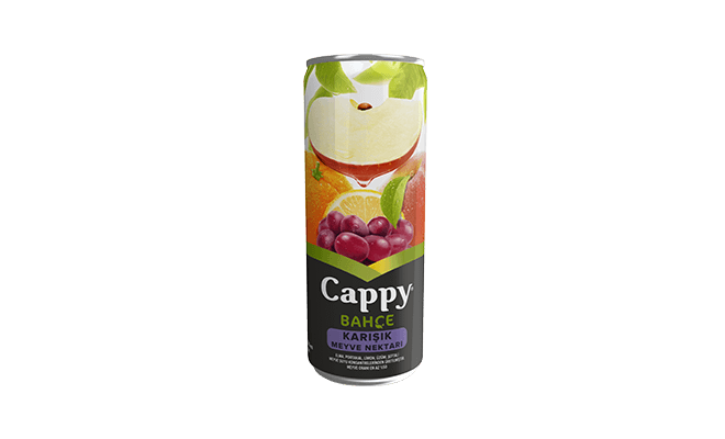 Cappy Meyve Suyu Karışık